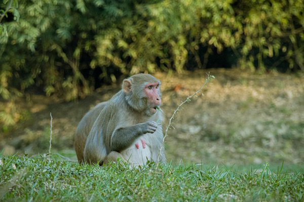 Cadeau pour grands-parents : un abonnement surprise à découvrir