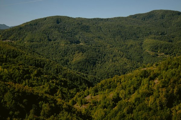 Plastique et santé : quel est le lien ?